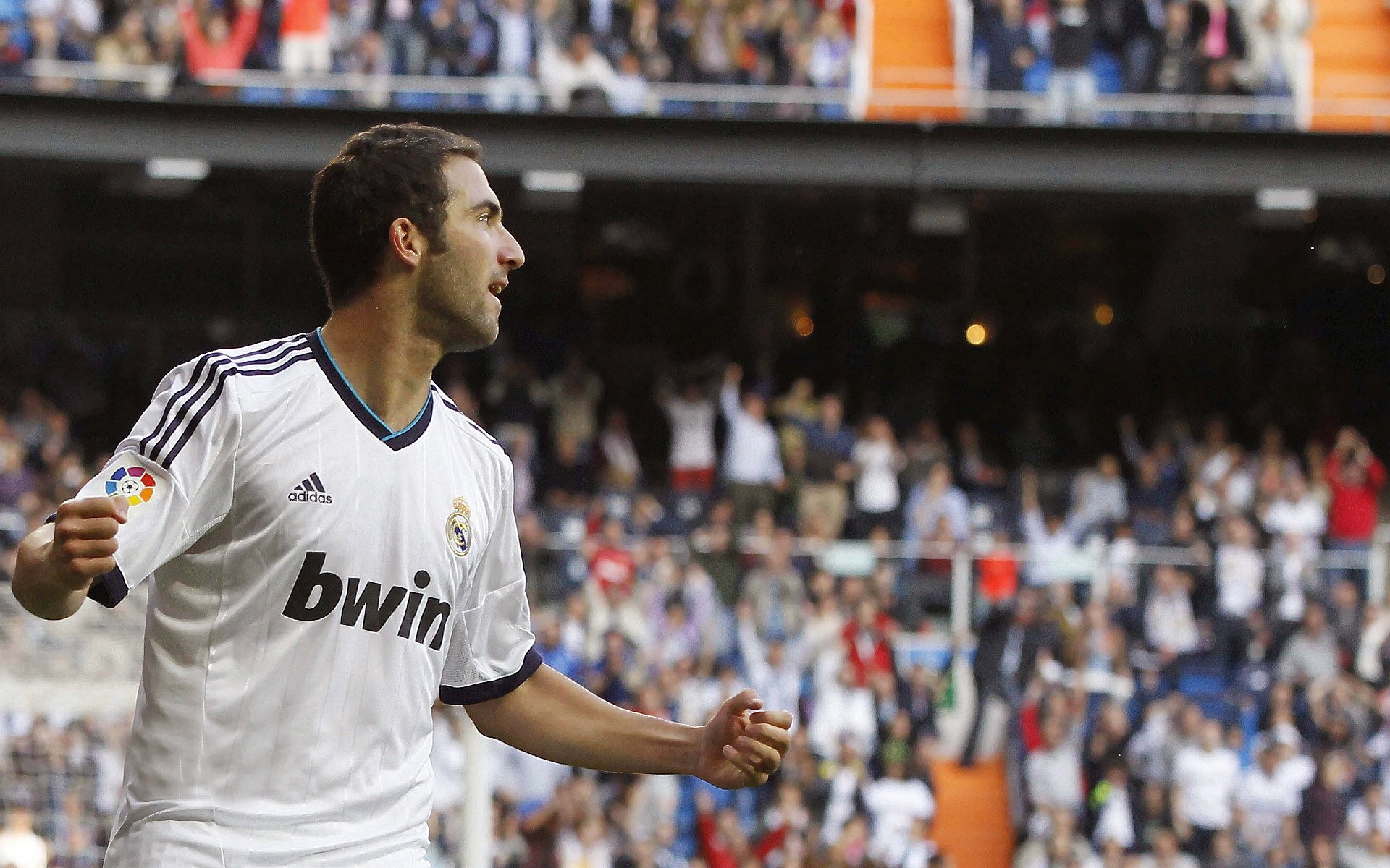 美洲杯VAR判罚回顾与分析，美洲杯有vr吗